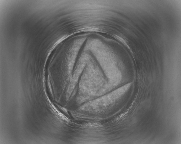 X0000058801133200510171340