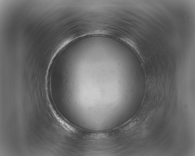 X0000058801135200510171340