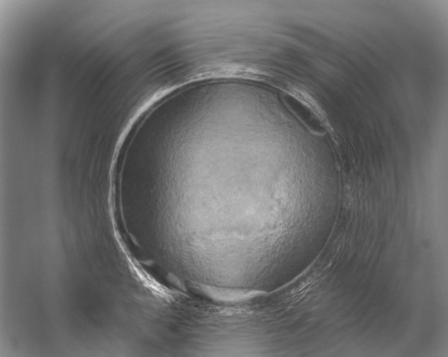 X0000058801136200510171340