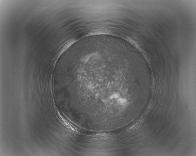 X0000058801137200510171340