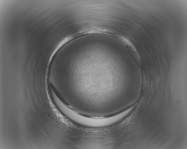 X0000058801138200510171340