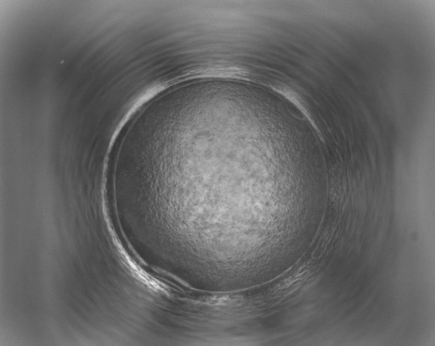 X0000058801139200510171340