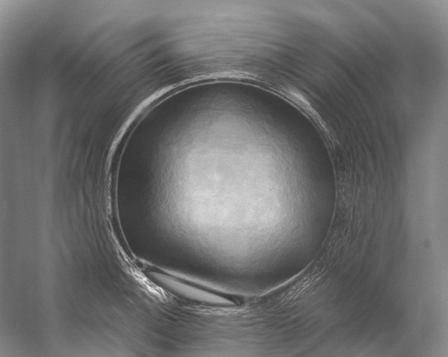 X0000058801140200510171340