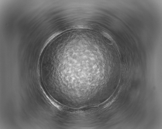 X0000058801141200510171340