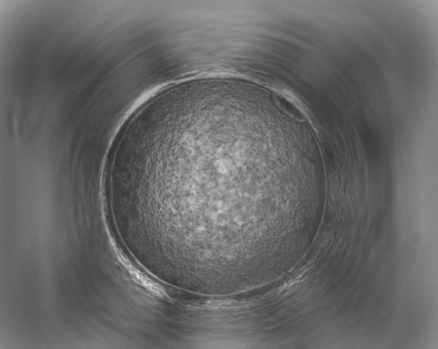 X0000058801142200510171340