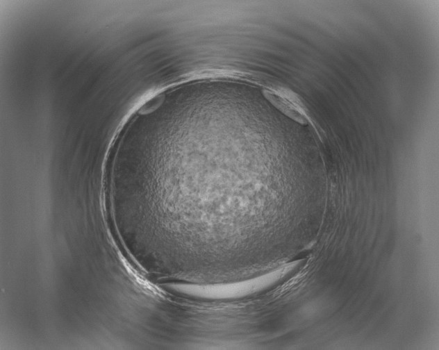 X0000058801143200510171340