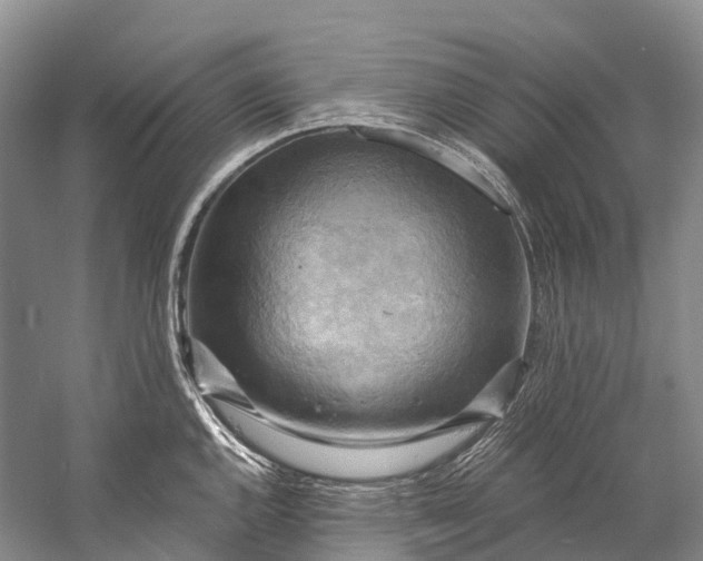 X0000058801144200510171340