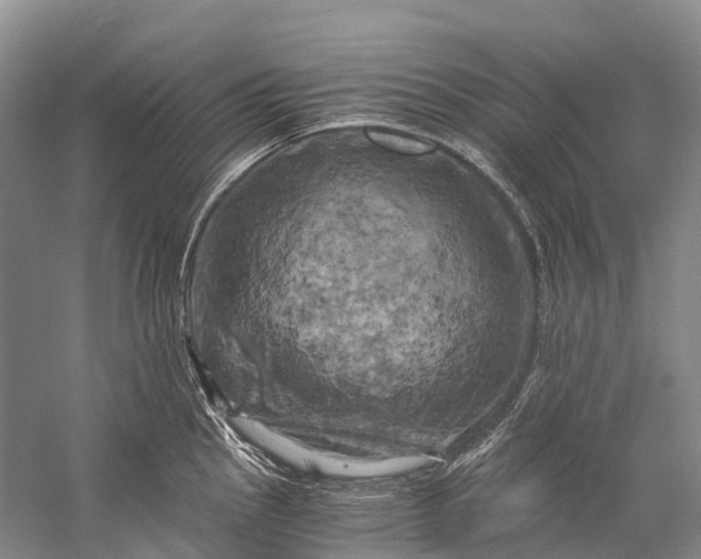 X0000058801145200510171340