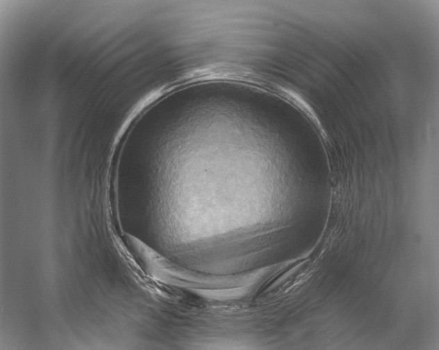 X0000058801146200510171340