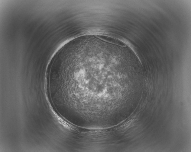 X0000058801147200510171340