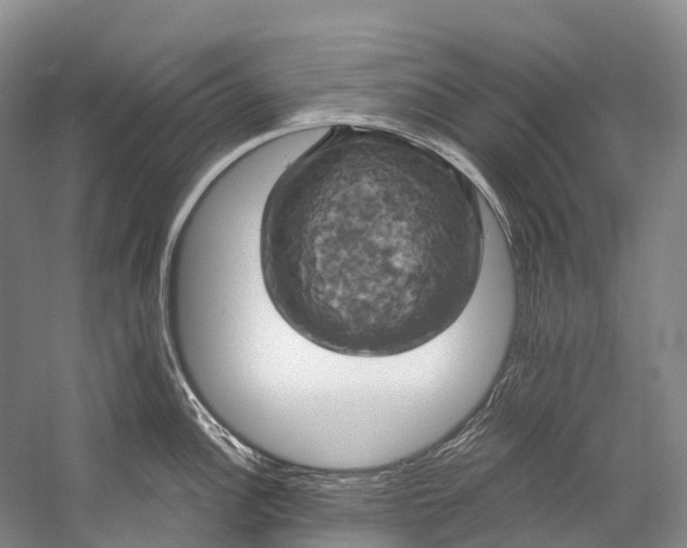 X0000058801148200510171340