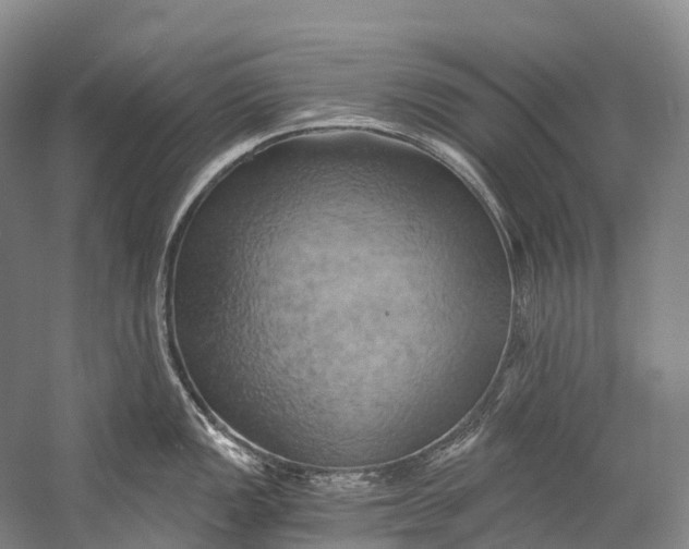 X0000058801149200510171340