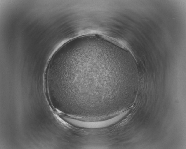 X0000058801151200510171340