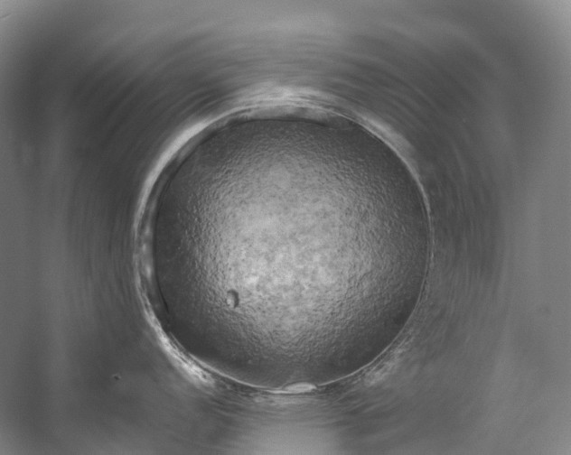 X0000058801152200510171340