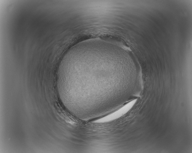 X0000058801153200510171339