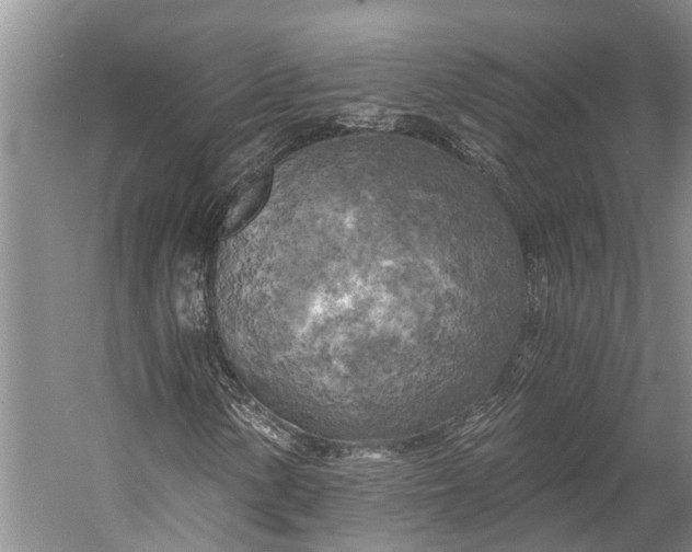 X0000058801154200510171339