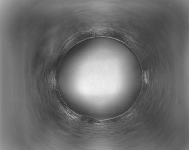 X0000058801155200510171339