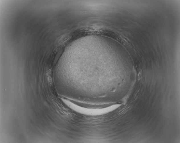 X0000058801156200510171339