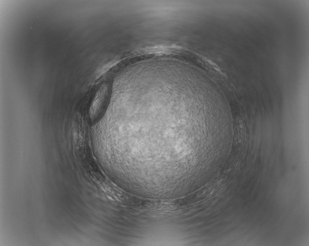 X0000058801158200510171339