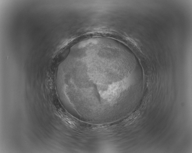 X0000058801159200510171339