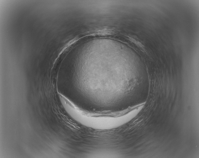 X0000058801160200510171339