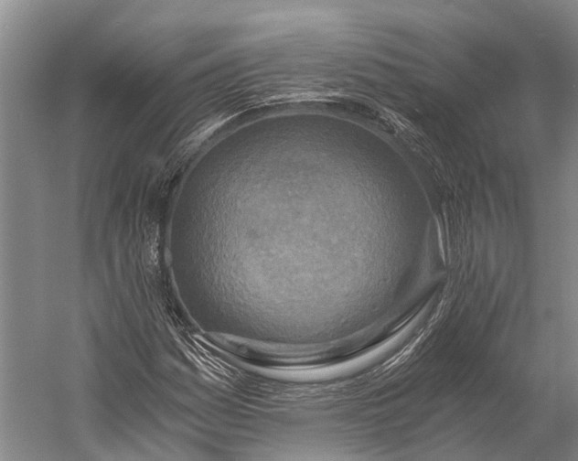 X0000058801161200510171339