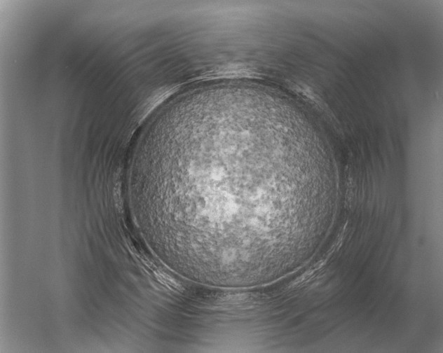 X0000058801162200510171339