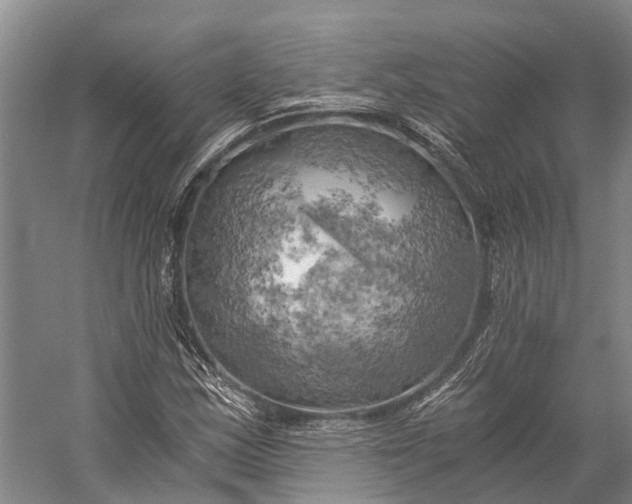 X0000058801163200510171339