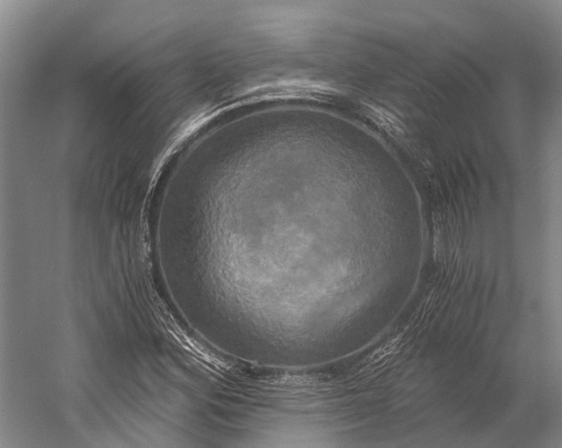 X0000058801164200510171339