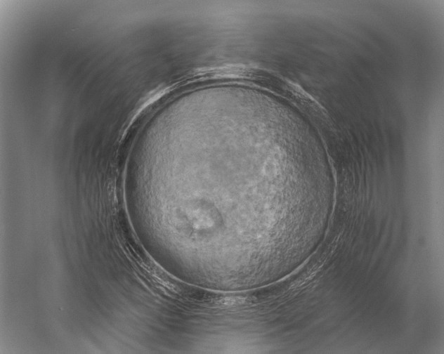 X0000058801166200510171339