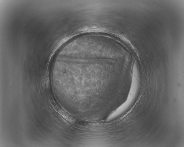 X0000058801167200510171339