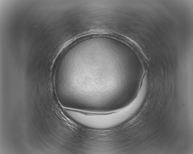 X0000058801168200510171339