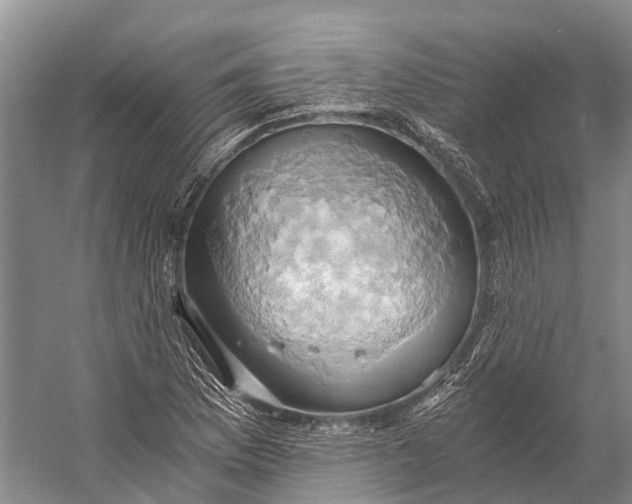 X0000058801169200510171339