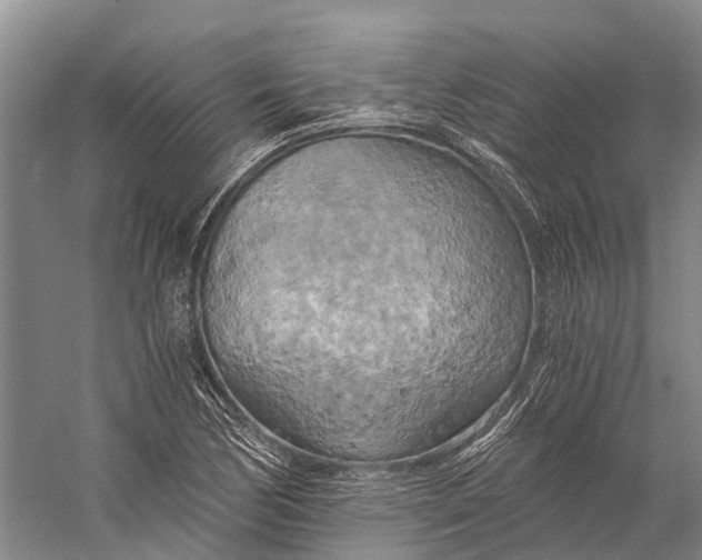 X0000058801170200510171339