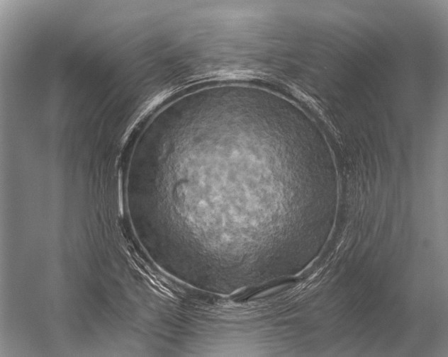 X0000058801171200510171339