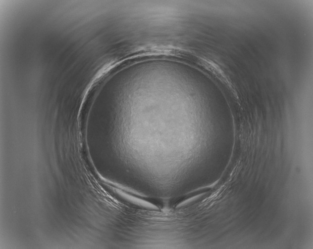 X0000058801172200510171339