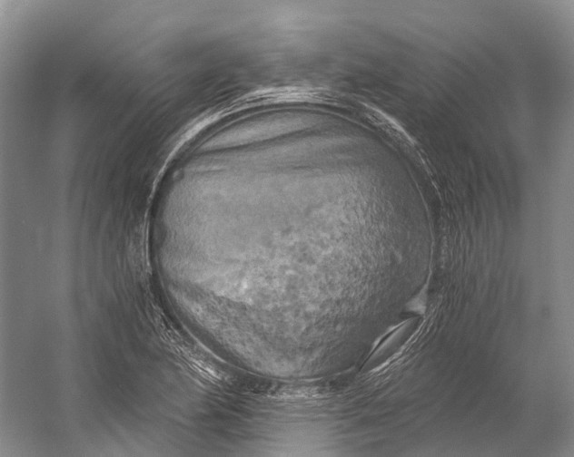 X0000058801174200510171339