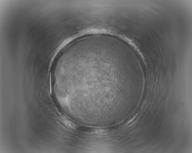 X0000058801175200510171339