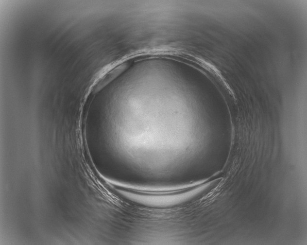 X0000058801176200510171339