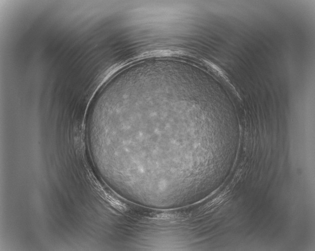 X0000058801178200510171339