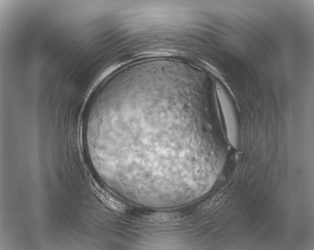 X0000058801179200510171339