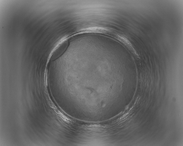 X0000058801180200510171339