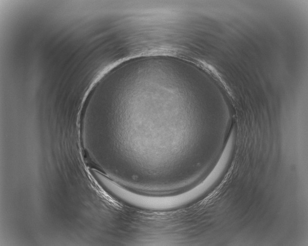 X0000058801184200510171339