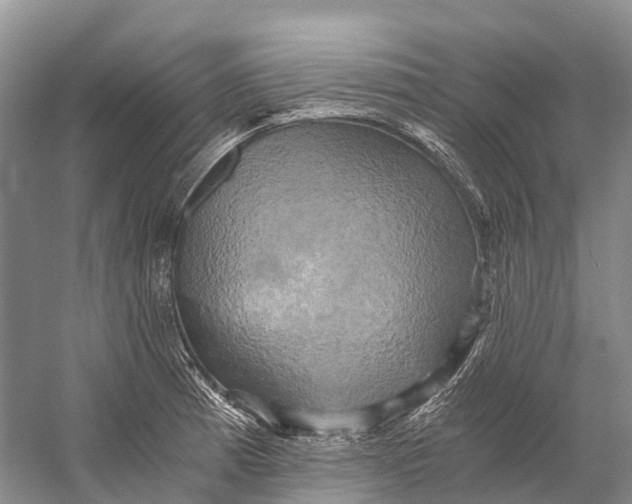 X0000058801185200510171339