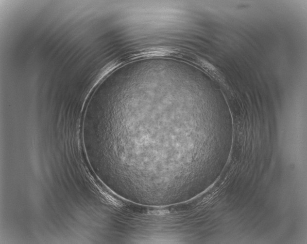 X0000058801186200510171339