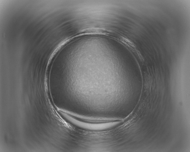 X0000058801188200510171339