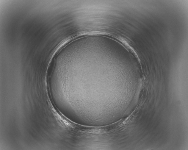 X0000058801189200510171339