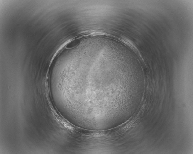 X0000058801190200510171339