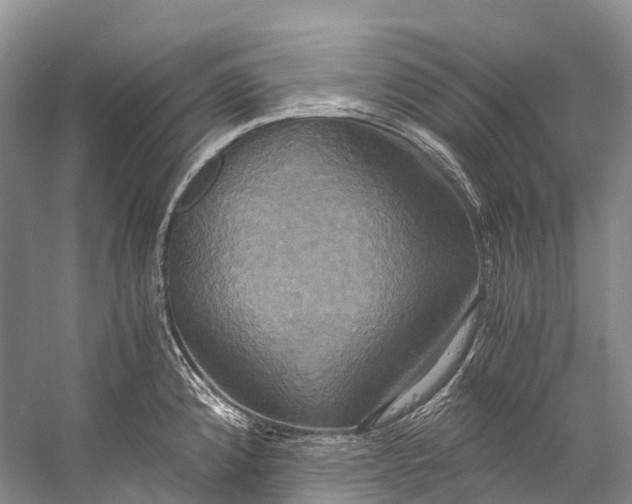 X0000058801192200510171338