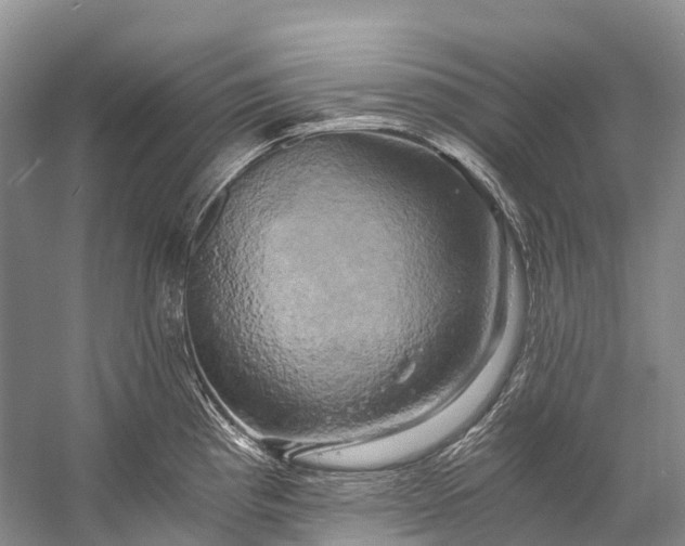 X0000058801193200510171338